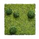 Topiary-Green-Wall